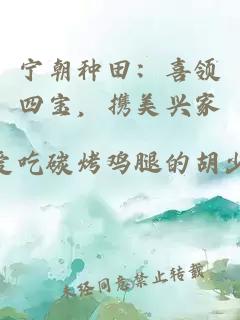 宁朝种田：喜领四宝，携美兴家