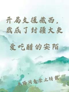 开局支援藏西,我成了封疆大吏