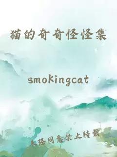 猫的奇奇怪怪集。