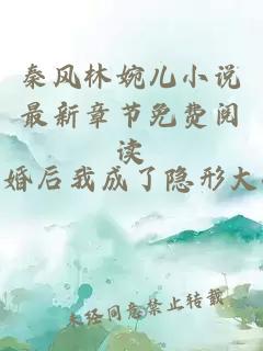 秦风林婉儿小说最新章节免费阅读