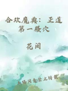 合欢魔典:正道第一骚穴