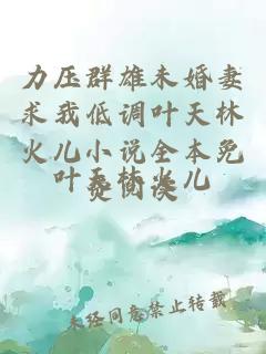 力压群雄未婚妻求我低调叶天林火儿小说全本免费阅读