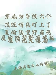 穿成向导被六个顶级哨兵盯上了夏瑜陆望野商砚枢小说大结局