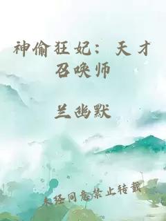 神偷狂妃:天才召唤师